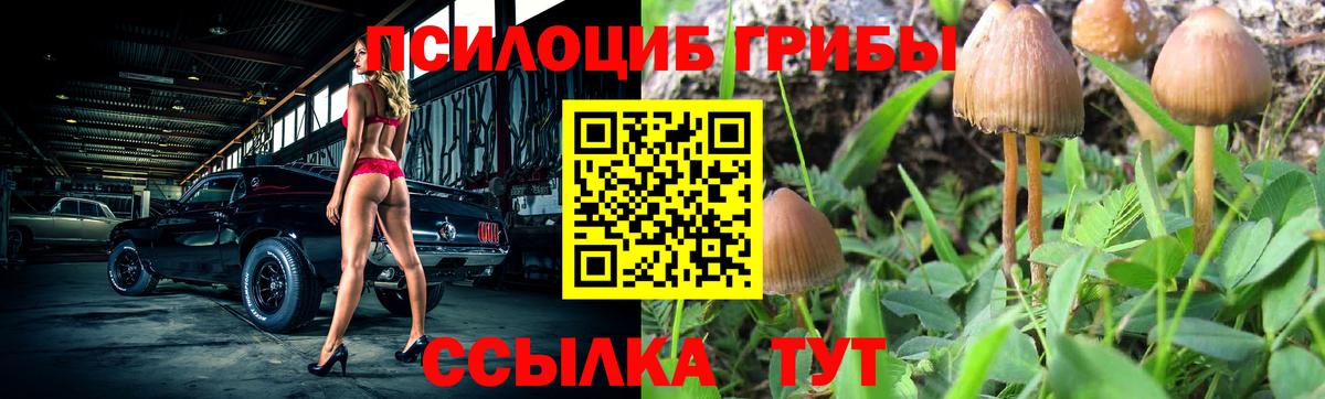 Галлюциногенные грибы MAGIC MUSHROOMS  Вход с VPN  Звенигород  Галлюциногенные грибы Psilocybine cubensis 